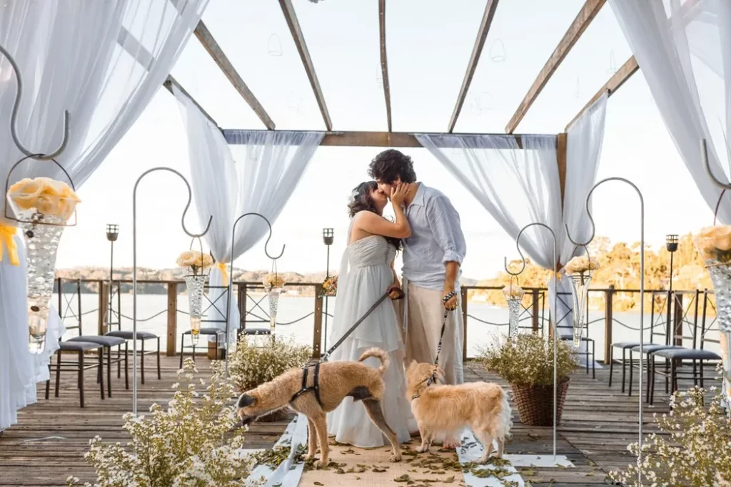 casamento-de-cinema-(4)_11zon